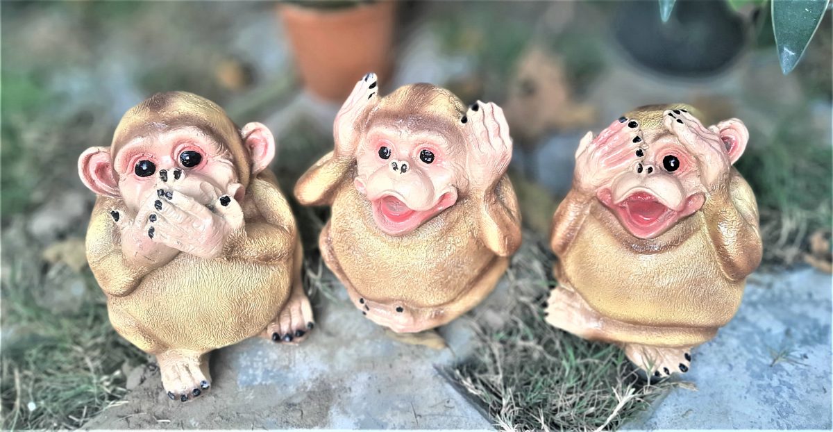 Monkey Set