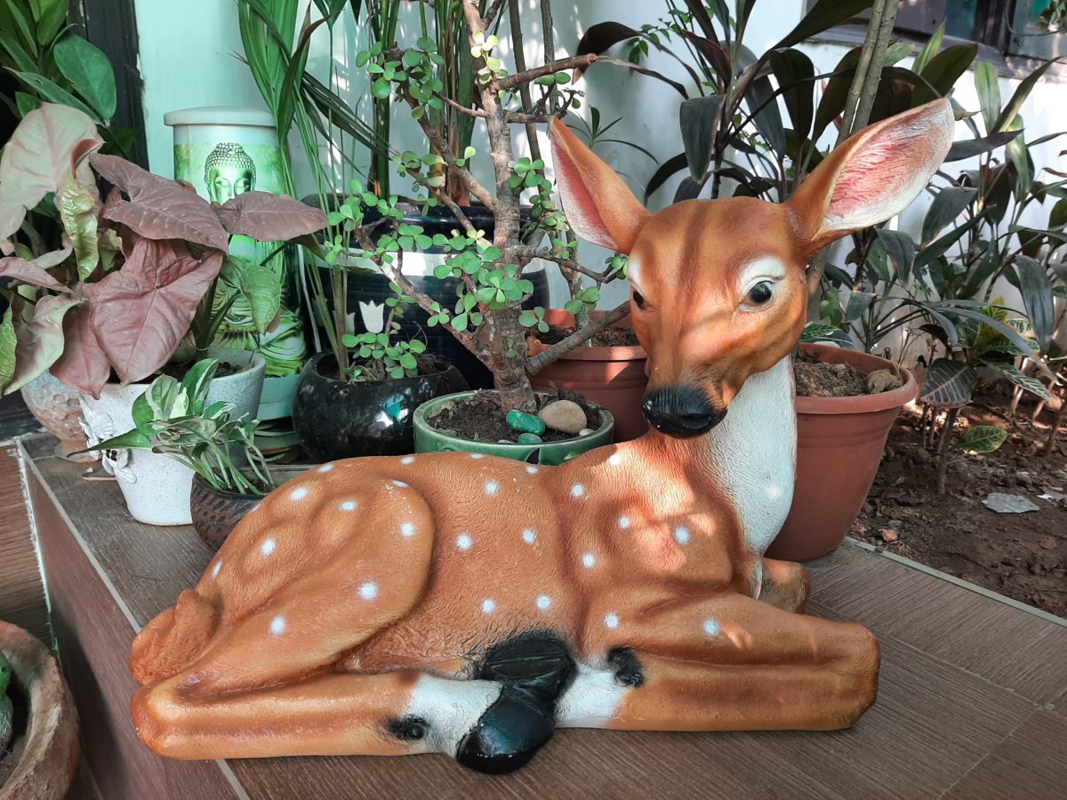 Deer Left