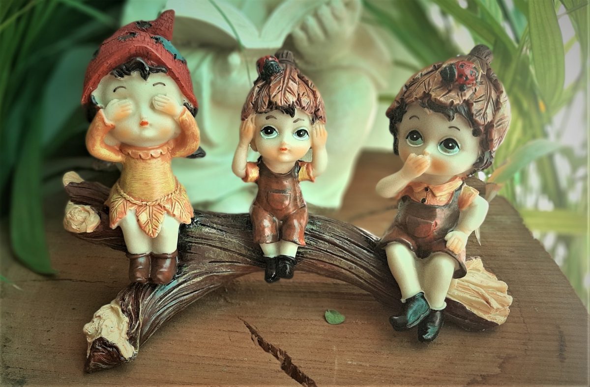 Buddies on Log