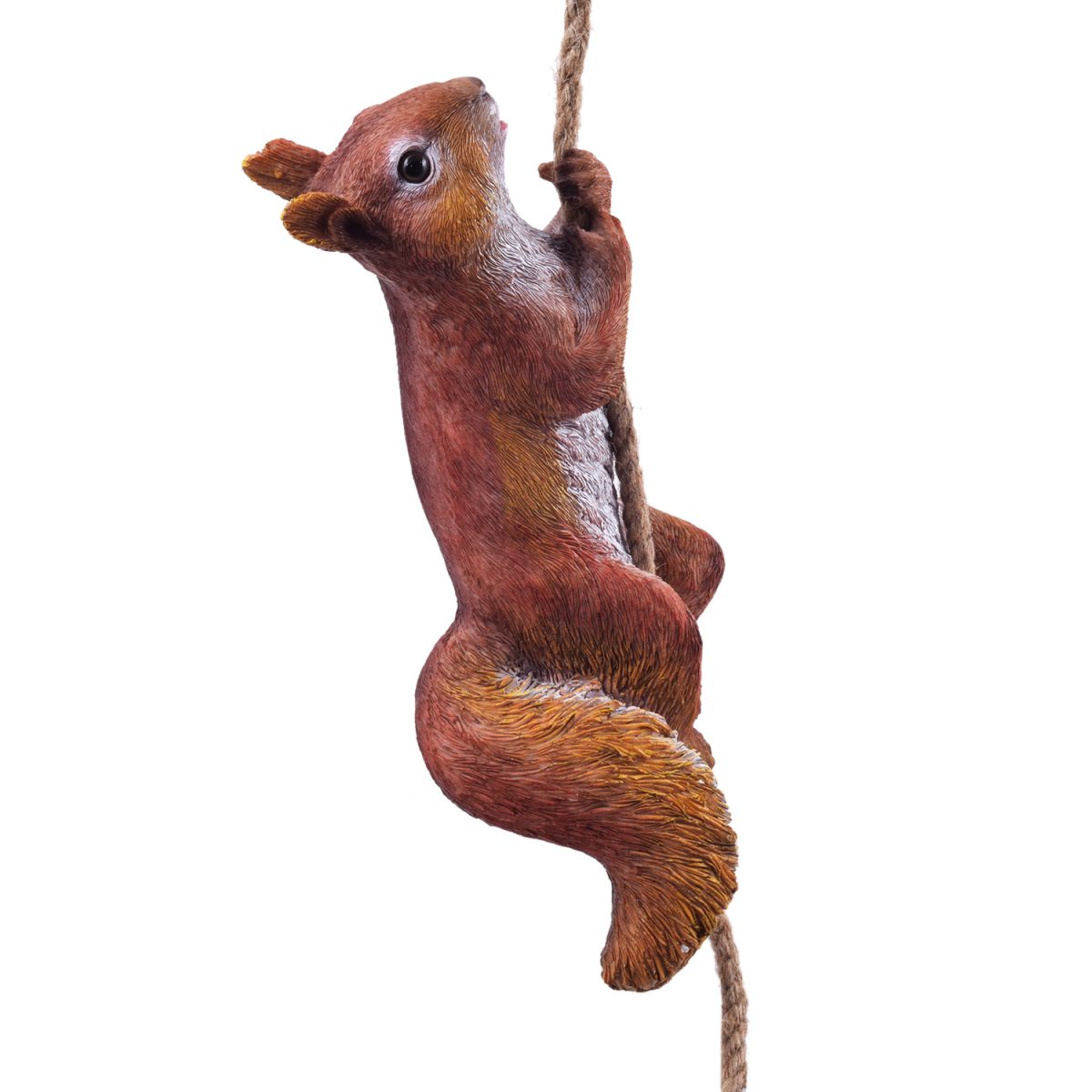 Squirrel Climbing Rope